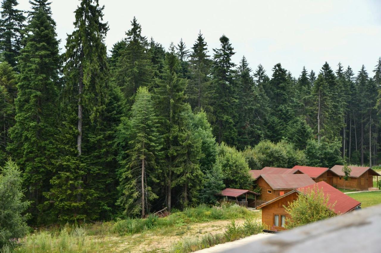 Iglika 2, V9 Lägenhet Borovets Exteriör bild